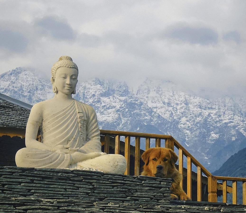 Osho Himalayas Wellness Resort Kangra Extérieur photo